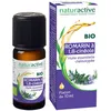 Image de naturactive Romarin officinal à 1,8-cinéole Huile essentielle BIO