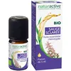Image de naturactive Sauge sclarée Huile essentielle BIO