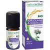 Image de Naturactive Marjolaine à Coquilles Huile essentielle BIO