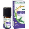 Image de Naturactive Cèdre de l'Atlas Huile essentielle bio