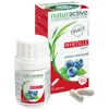 Image de Naturactive Myrtille
