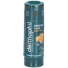 Image de Dermophil Stick Lèvres Bio Miel