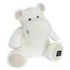Image de Histoire d'Ours Hip'Chic