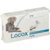 Image de Locox® TVM Chien & Chat