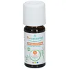 Image de Puressentiel Huile Essentielle Lentisque Pistachier