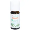 Image de Puressentiel Huile essentielle basilic à linalol bio