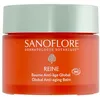 Image de Sanoflore Baume Anti-ge Global