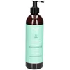 Image de Najel Shampoing au Savon d'Alep 2 en 1 Nettoyant et Démêlant Cheveux Gras