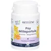 Image de Oemine PSY Millepertuis