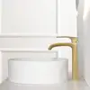 Image de Fortis Fiera Robinet de lavabo extra long, avec corps de robinetterie surélevé, 89211002BG,