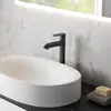 Image de Fortis Lica Mitigeur de lavabo grand format avec corps surélevé, 18205002BB,