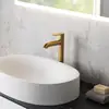 Image de Fortis Lica Mitigeur de lavabo grand format avec corps surélevé, 18205002BG,