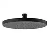 Image de Fortis Douche de tête métallique ronde Ø 250 mm, 7592503MB,