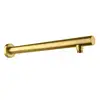 Image de Fortis Bras de douche plat, rond, 50745640BG,