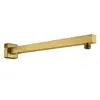Image de Fortis Bras de douche plat, carré, 50745740BG,