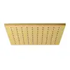 Image de Fortis Douche de tête métallique carrée L : 250 P : 250 mm, 7592504BG,
