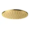 Image de Fortis Douche de tête métallique ronde Ø 250 mm, 7592503BG,