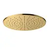 Image de Fortis Douche de tête métallique ronde Ø 300 mm, 7593002BG,