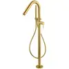 Image de Fortis Brera Mitigeur de baignoire sur pied avec corps d’encastrement, 781361BG,