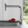 Image de Fortis Brera extend Robinetterie de cuisine à 2 types de jets, pivotante avec douchette extractible, 0056601PC,