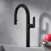 Image de Fortis Mosa extend Robinetterie de cuisine à 2 types de jets, pivotante avec douchette extractible, 0959100MB,