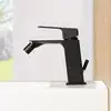 Image de Fortis Scala Mitigeur de bidet, V230600MB,