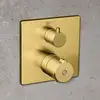 Image de Fortis square Mitigeur thermostatique pour 2 sorties, pour corps d’encastrement Toya, 84691THBG,