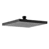 Image de Fortis Douche de tête métallique carrée L : 250 P : 250 mm, 7592504BB,