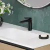 Image de Fortis Natura Mitigeur de lavabo, taille M, 9521101MB,
