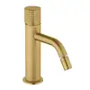Image de Fortis Bria Grip Mitigeur de bidet, 3G30400BG,