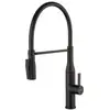 Image de Fortis Romana flex Robinetterie de cuisine à 2 jets, pivotante, bec souple en silicone, TL55700MB,