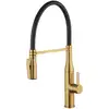 Image de Fortis Romana flex Robinetterie de cuisine à 2 jets, pivotante, bec souple en silicone, TL55700BG,
