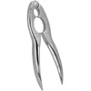 Image de METALTEX - SOREPRO Casse -Noix 'Krokki' - 250600