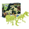 Image de T-Rex & Tricératops - Paléontologie Squelettes Phosphorescents - 7 Ans+