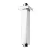 Image de Bossini Universal Bras de douche, H61000D00030003,