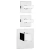 Image de Bossini Alta Portata Mitigeur thermostatique de douche encastré, Z033203030,