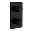 Image de Bossini Teo Mitigeur thermostatique, pour baignoire et douche, Z00002000073005,