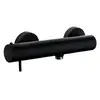 Image de Bossini Teo Mitigeur thermostatique de douche en applique, Z005131073,