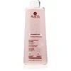 Image de Alama Professional Color Protecting Shampoo shampoing protection de couleur 500 ml