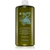 Image de Echosline Maqui All-In shampoing nettoyant doux pour un effet naturel 975 ml