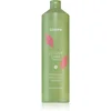 Image de Echosline Colour Care Shampoo shampoing protecteur pour cheveux colorés 1000 ml