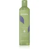 Image de Echosline No Yellow Shampoo shampoing anti-jaunissement 300 ml