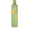 Image de Echosline Ki-Power Veg Shampoo shampoing rénovateur pour cheveux abîmés 300 ml