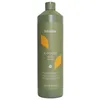 Image de Echosline Ki Power Vegan Sahmpoo preparatore ricostruzione 1000ml