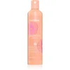 Image de Echosline Discipline Shampoo shampooing lissant pour cheveux indisciplinés et frisottis 300 ml