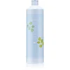 Image de Echosline Balance Shampoo shampoing purifiant anti-pelliculaire 1000 ml