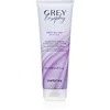 Image de Inebrya Greylosophy Grey By Day Butter masque cheveux pour cheveux gris 250 ml