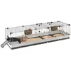 Image de Ferplast Cage Cochon d'Inde Cage Lapin Clapier Rongeurs - Accessoires Inclus - Ouvrant et modulable 205 x 60 x h 50 CM - Krolik 200