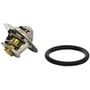 Image de FACET 7.8239 Thermostat d'eau avec joint d'étanchéite 89°C Compatible avec RENAULT Clio II 3/5 portes BB, CB, BB0/1/2, CB0/1/2 Kangoo I KC, KC0/1 Kangoo I Express FC, FC0/1 Espace III JE, JE0