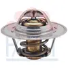 Image de FACET 7.8547 Thermostat d'eau avec joint d'étanchéite 87°C Compatible avec VW Golf V 3/5 portes 1K1 Golf VI 3/5 portes 5K1 Tiguan I 5N Touran I 1T1, 1T2 Passat B6 Variant 3C5 Scirocco III 137, 138